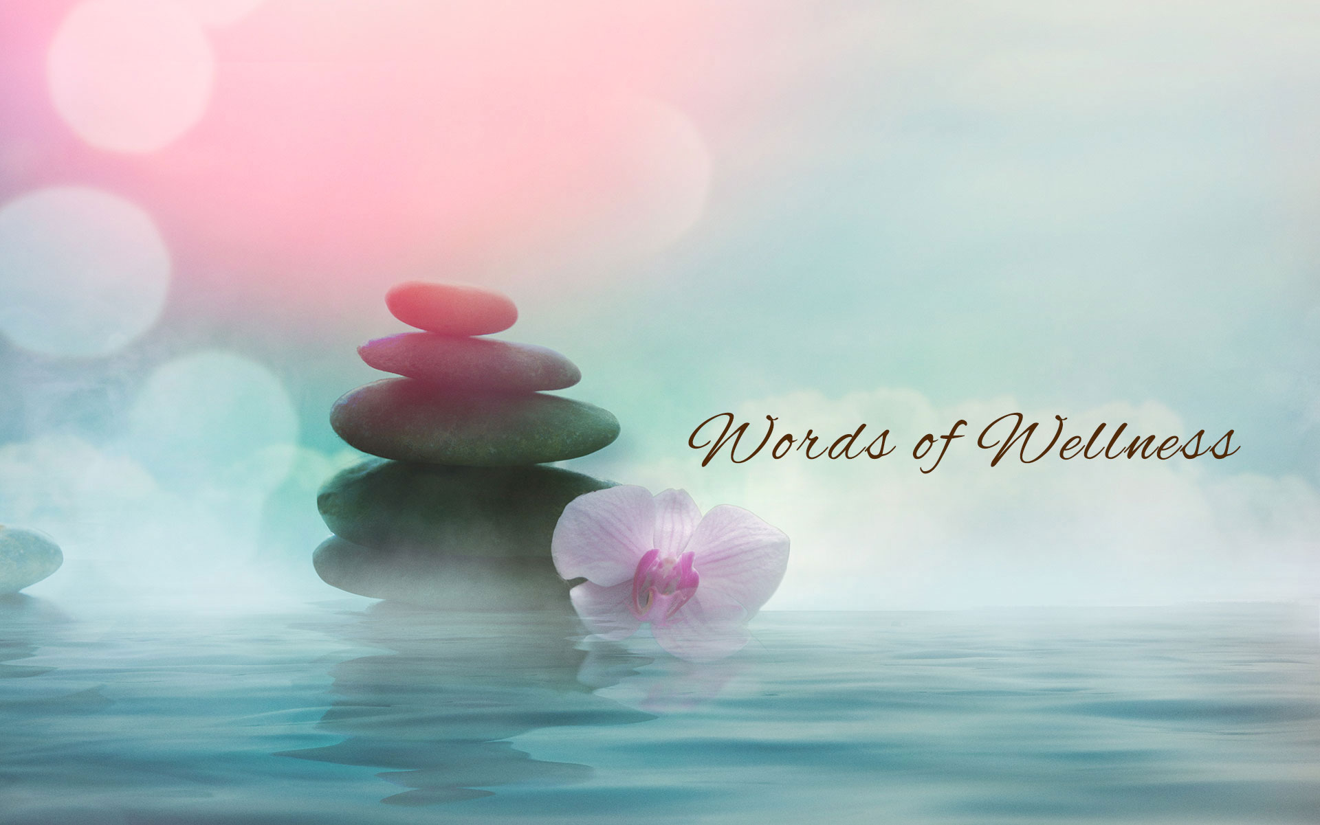 blog_header_4_web