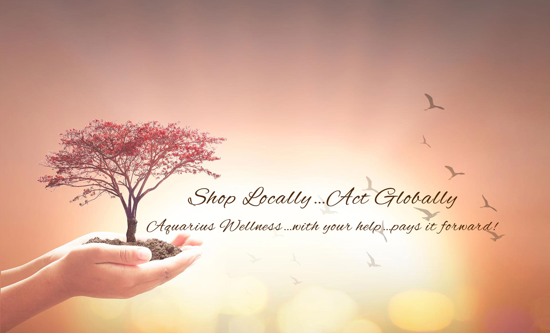 charity_header02_web