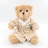 Aquarius Wellness Teddy Bear