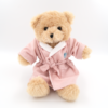 Aquarius Wellness Teddy Bear