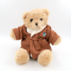 Aquarius Wellness Teddy Bear