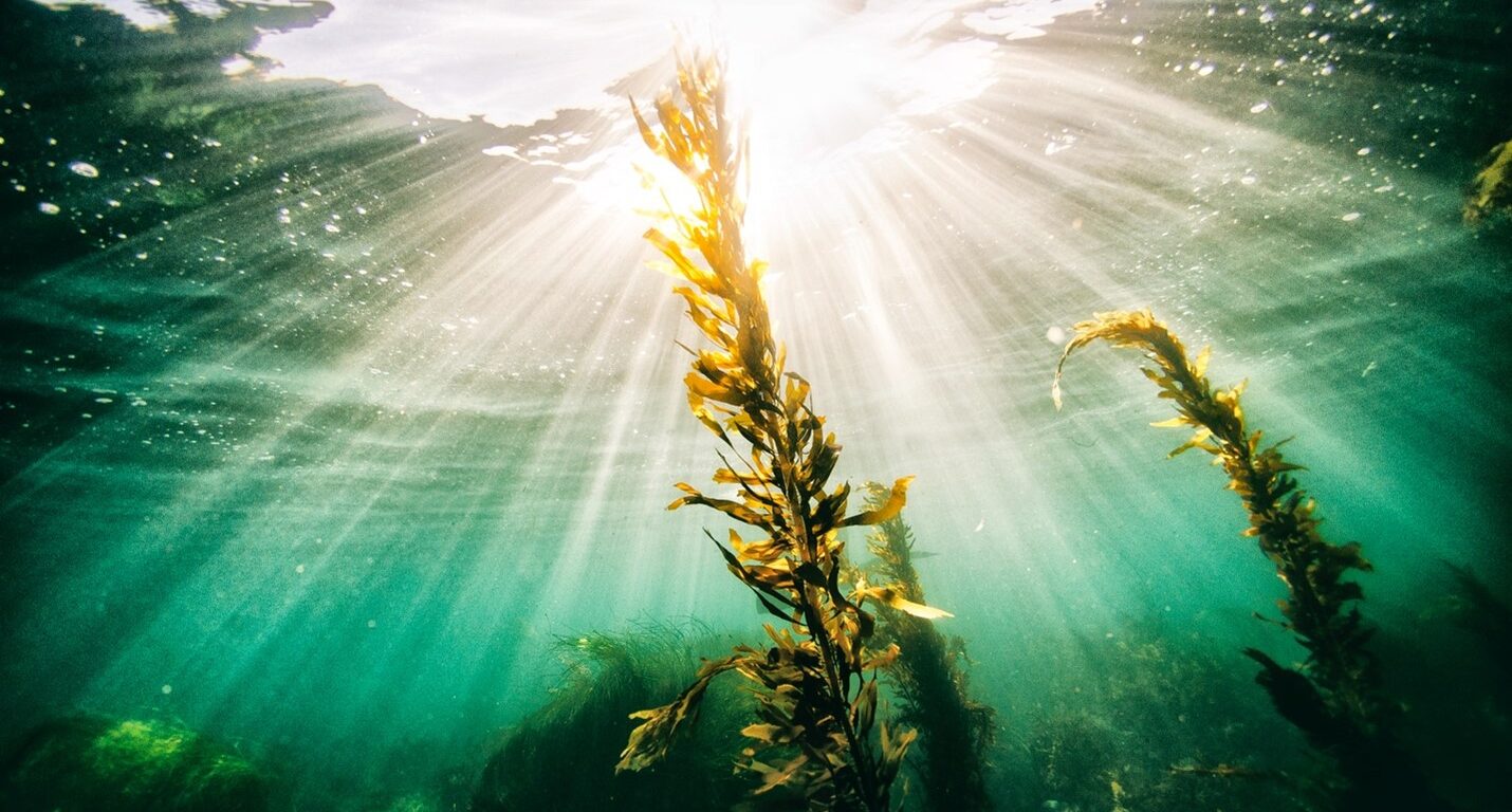 Aquarius Wellness – October Newsletter!