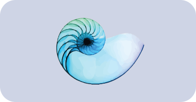 Nautilus Image