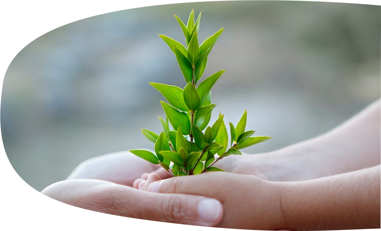 Giving Back Photo Merged Just In Case